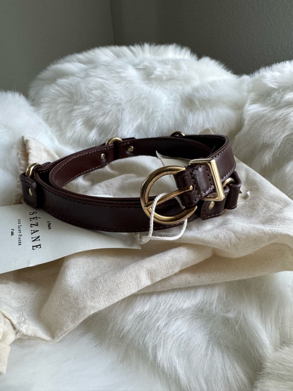 Sezane Luisa Belt in Glossy Chocolate